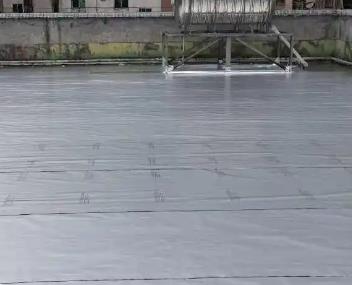 炉霍测漏水电话